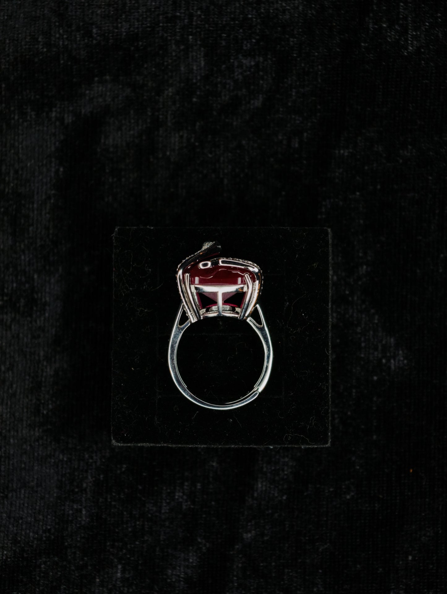 Rings 25