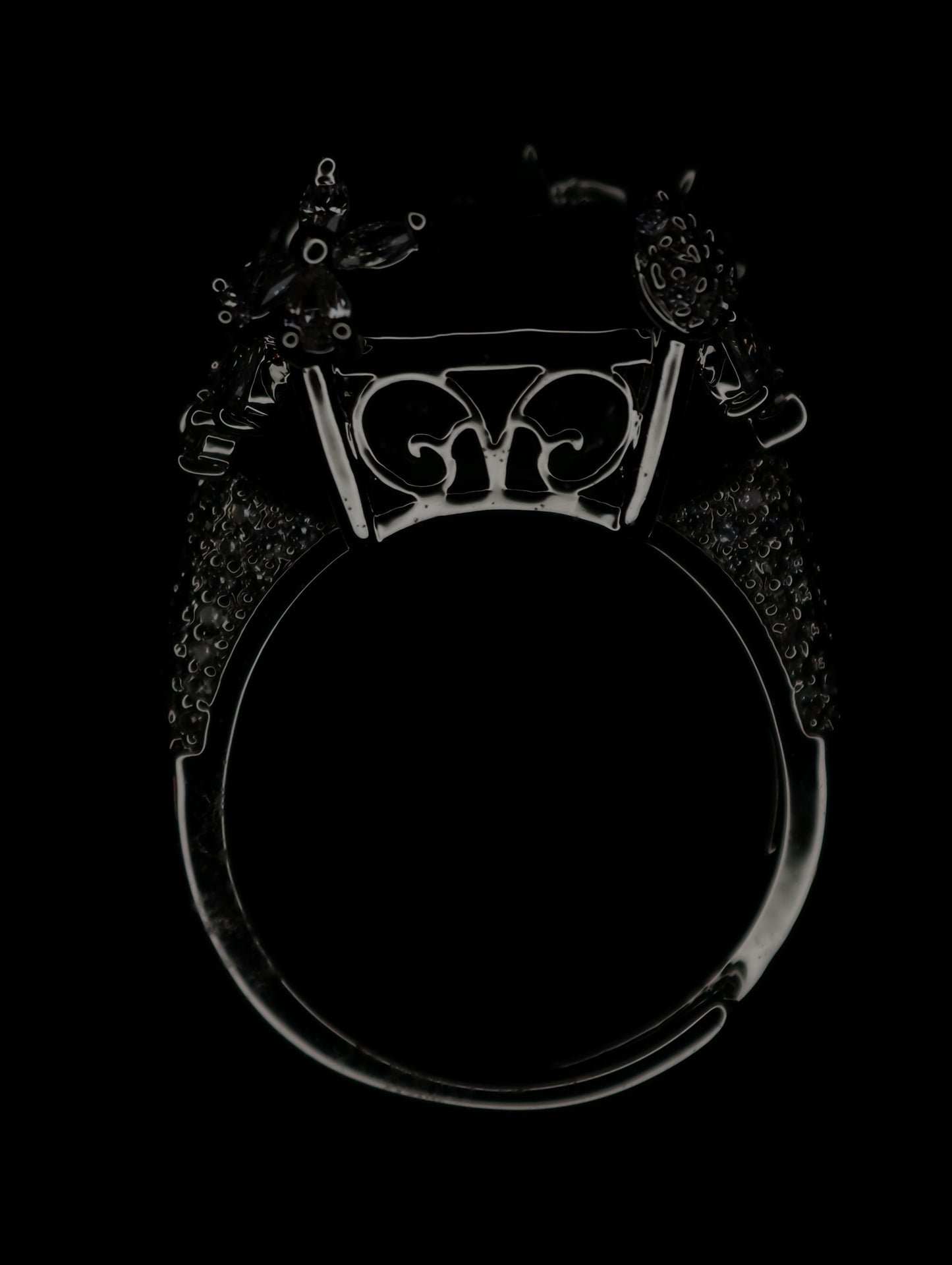 Rings 107