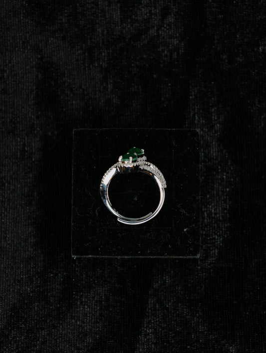 Rings 01