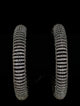 Zircon Bangle 16